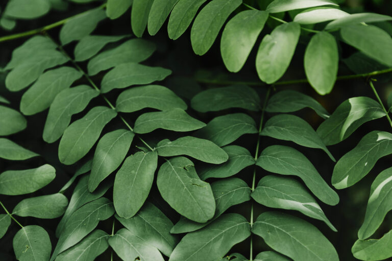 Innovación circular: lentes recicladas, monturas inteligentes