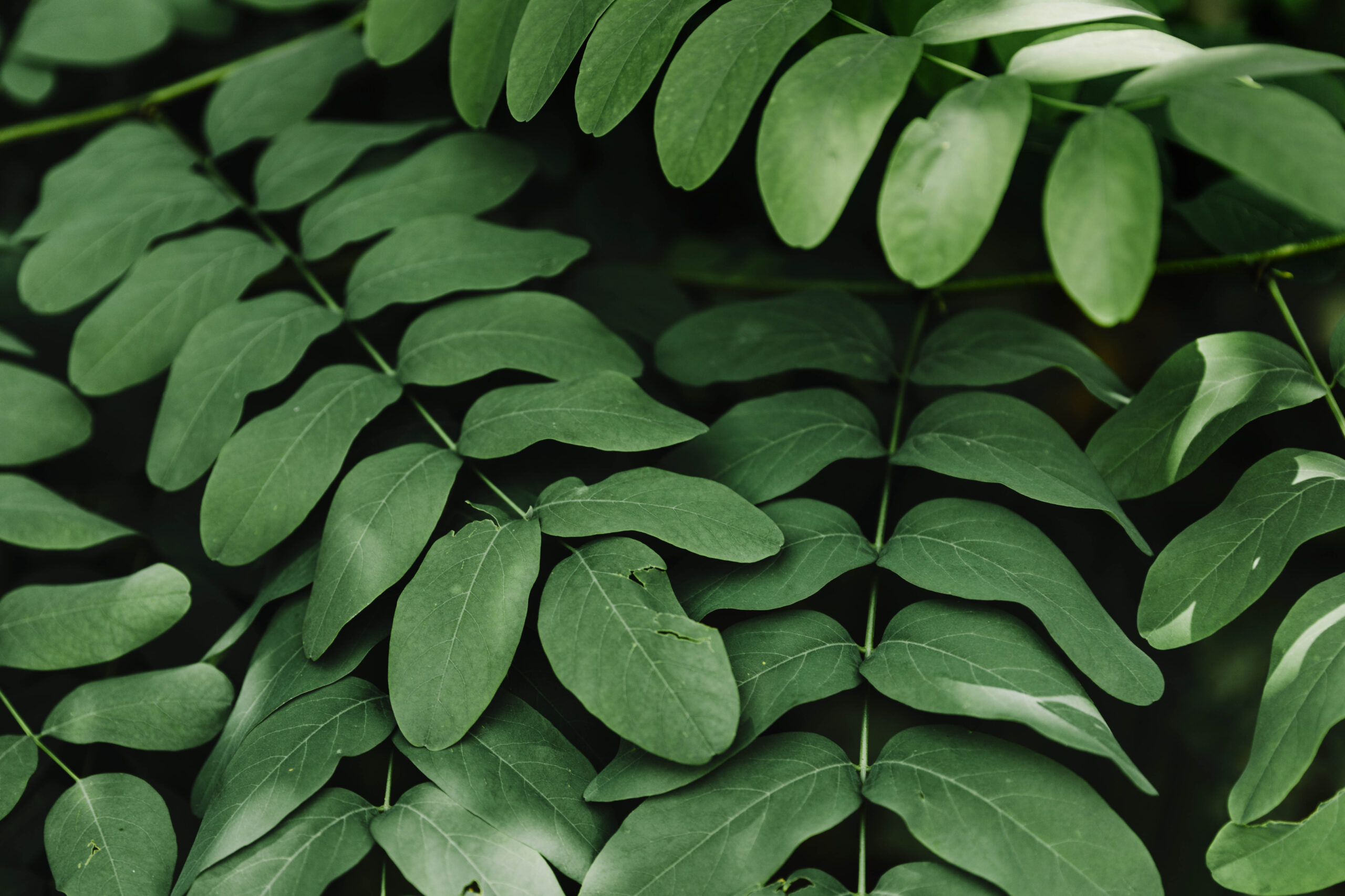 Innovación circular: lentes recicladas, monturas inteligentes