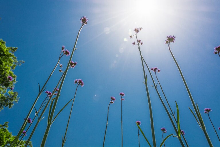 Gafas de sol con diseño cuadrado: las más sobrias
