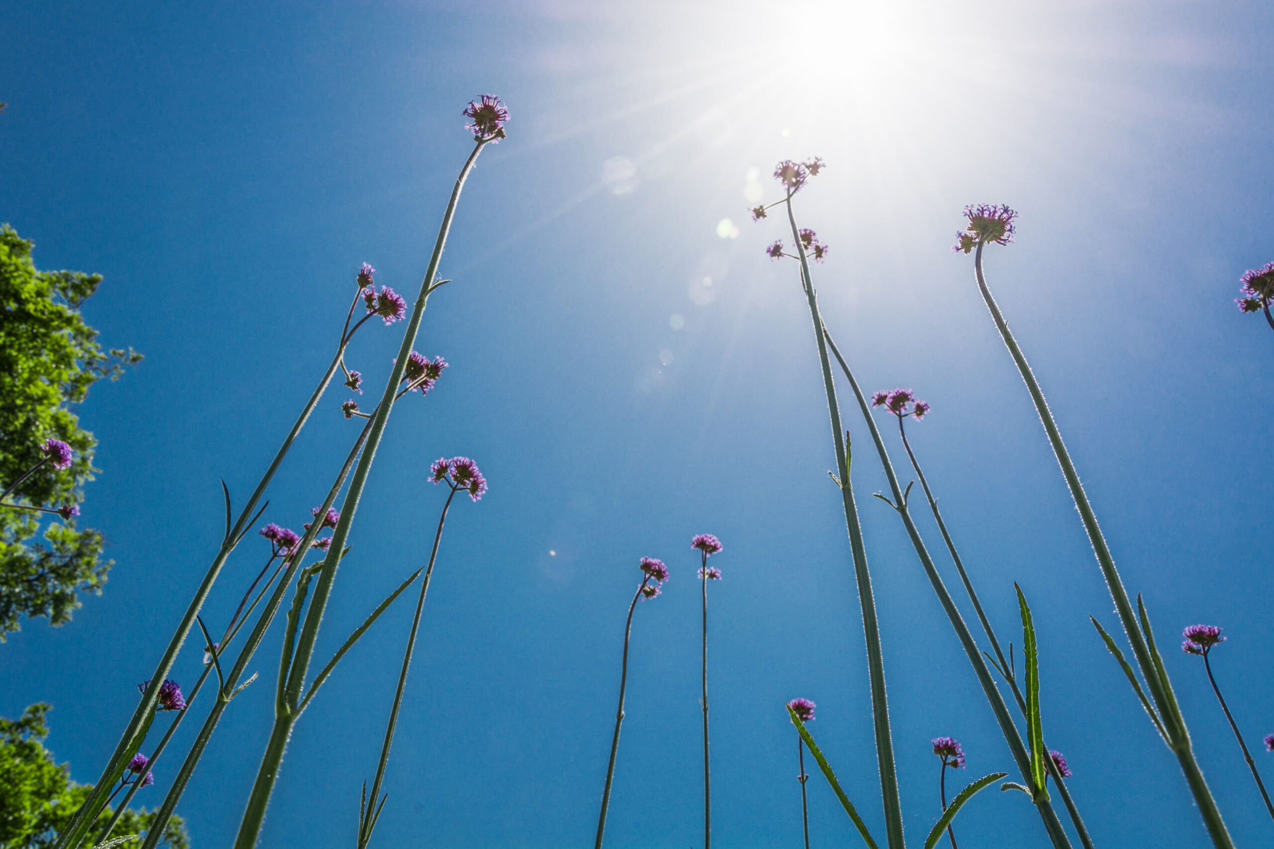 Gafas de sol con diseño cuadrado: las más sobrias